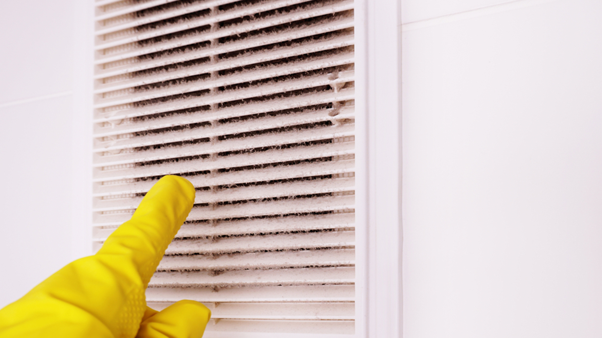 5 Reasons Air Duct Mold Cleaning is MUST after Summer