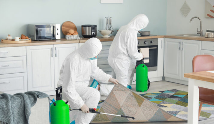 5 Reasons Why You Need a Home Disinfection Service