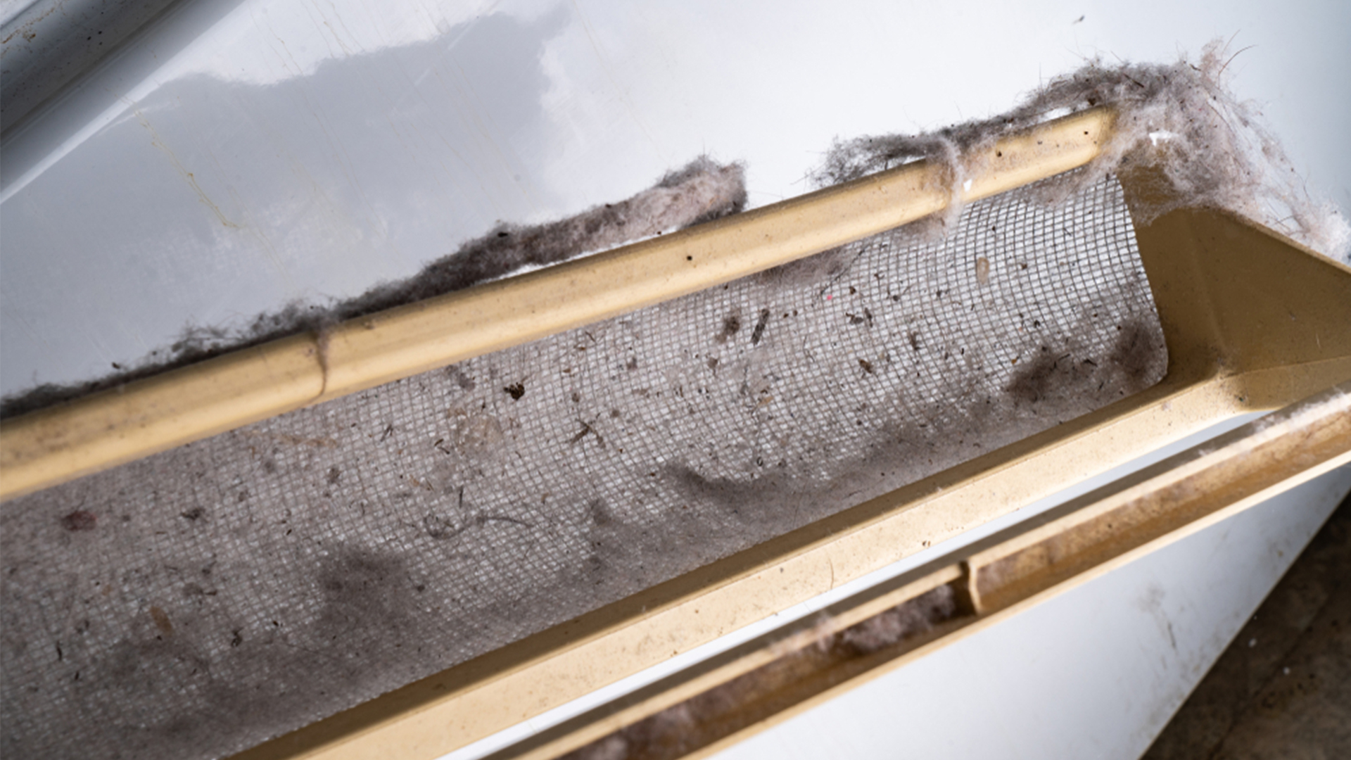 Why and When to Have Chimney and Dryer Vent Cleaning?