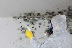 The Hidden Dangers of Mold in Your Air Ducts